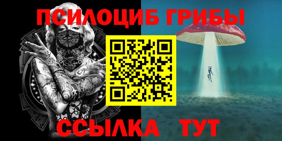 Ульяновск  Галлюциногенные грибы Psilocybe  Вход с VPN 